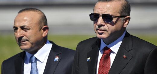 Erdoghany sparnum e