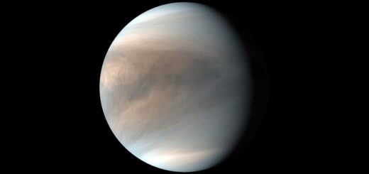 Venera