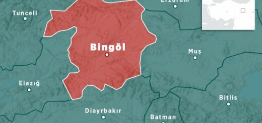 Bingyol