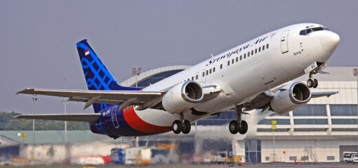aviavtar