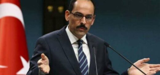Xostovanel e