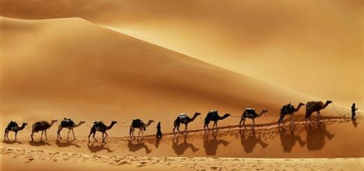 Arabia