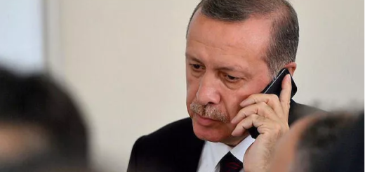 Aliev Erdogan