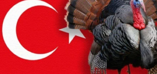 Hndkahav